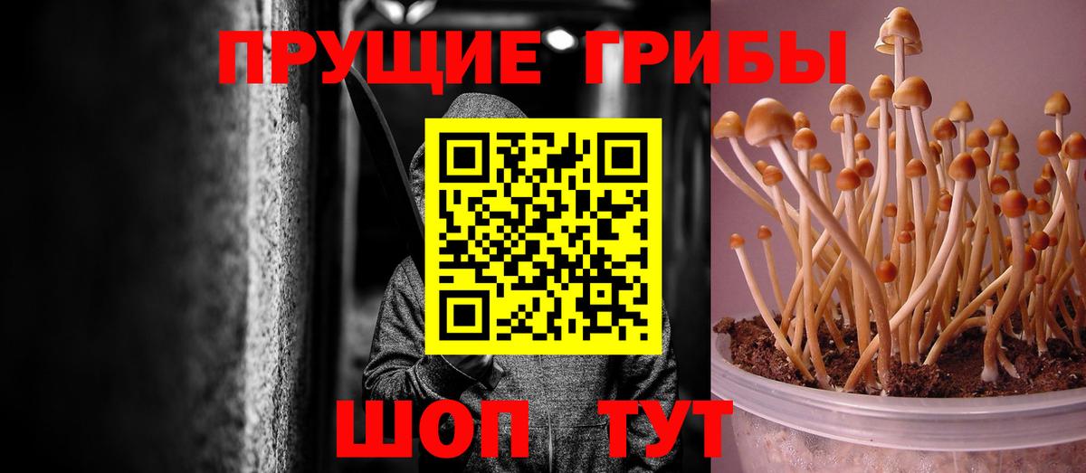 Псилоцибиновые грибы мицелий  Вход с VPN  даркнет сайт  Ковров 