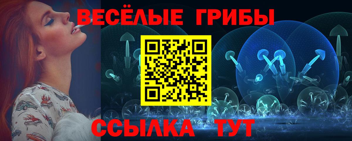 Псилоцибиновые грибы Psilocybine cubensis Ковров